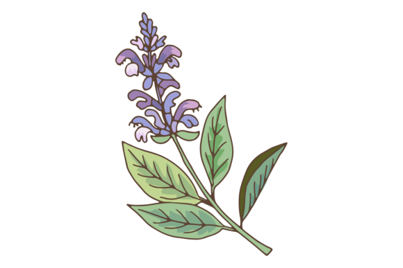 Download Lavender Branch. Fresh Aroma Grass with - Premium Resources