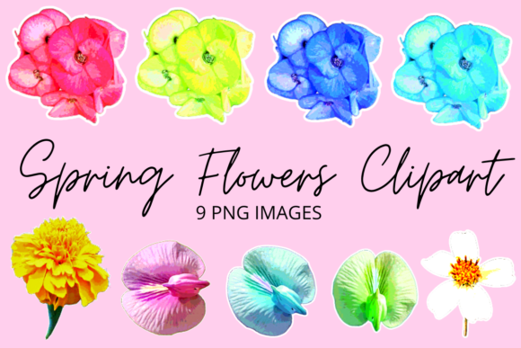 Download Colourful Spring Flowers Clipart Set - Spring flowers clipart Collection